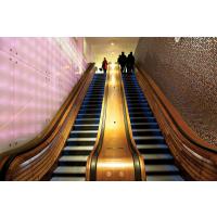 20 X 30 POWER BROWN - MAGNA